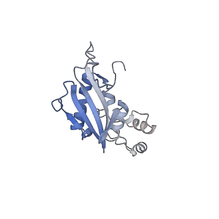 27034_8cx2_G_v1-2
Cryo-EM structure of human APOBEC3G/HIV-1 Vif/CBFbeta/ELOB/ELOC dimeric complex in State 2