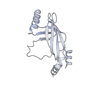 27034_8cx2_H_v1-2
Cryo-EM structure of human APOBEC3G/HIV-1 Vif/CBFbeta/ELOB/ELOC dimeric complex in State 2
