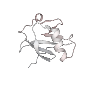 27034_8cx2_I_v1-2
Cryo-EM structure of human APOBEC3G/HIV-1 Vif/CBFbeta/ELOB/ELOC dimeric complex in State 2