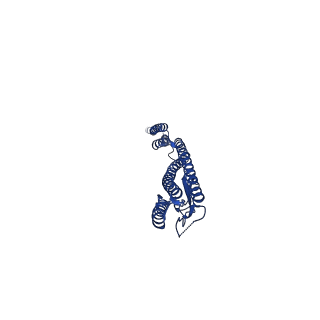27060_8cxm_B_v1-2
Cryo-EM structure of the supercoiled E. coli K12 flagellar filament core, Normal waveform