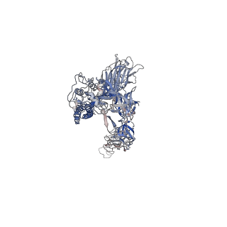 27061_8cxn_A_v1-1
SARS-CoV-2 Spike protein in complex with a pan-sarbecovirus nanobody 2-57