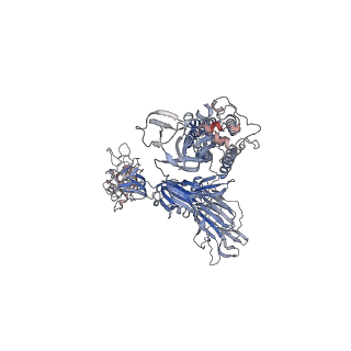 27061_8cxn_C_v1-1
SARS-CoV-2 Spike protein in complex with a pan-sarbecovirus nanobody 2-57