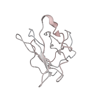 27061_8cxn_E_v1-1
SARS-CoV-2 Spike protein in complex with a pan-sarbecovirus nanobody 2-57