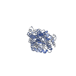 27062_8cxo_A_v1-0
Cryo-EM structure of the unliganded mSMO-PGS2 in a lipidic environment