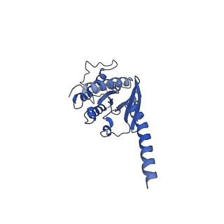 30489_7cx2_A_v1-0
Cryo-EM structure of the PGE2-bound EP2-Gs complex
