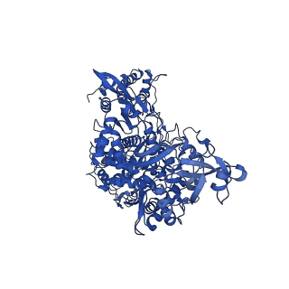 30492_7cxm_A_v1-3
Architecture of a SARS-CoV-2 mini replication and transcription complex