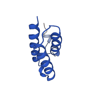 30492_7cxm_C_v1-3
Architecture of a SARS-CoV-2 mini replication and transcription complex