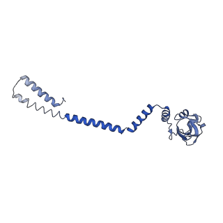 30492_7cxm_D_v1-3
Architecture of a SARS-CoV-2 mini replication and transcription complex