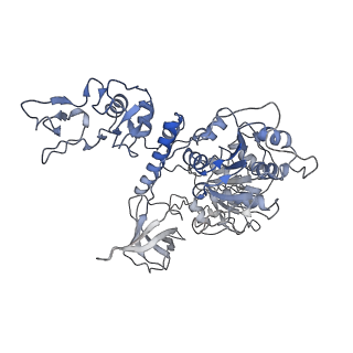 30492_7cxm_E_v1-3
Architecture of a SARS-CoV-2 mini replication and transcription complex