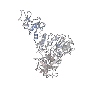 30492_7cxm_F_v1-3
Architecture of a SARS-CoV-2 mini replication and transcription complex