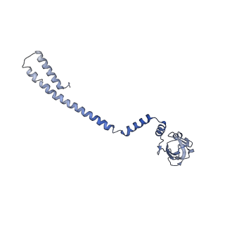 30493_7cxn_D_v1-3
Architecture of a SARS-CoV-2 mini replication and transcription complex