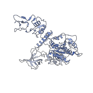 30493_7cxn_E_v1-3
Architecture of a SARS-CoV-2 mini replication and transcription complex