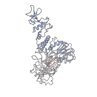 30493_7cxn_F_v1-3
Architecture of a SARS-CoV-2 mini replication and transcription complex