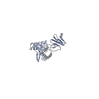 7774_6cxc_D_v1-2
3.9A Cryo-EM structure of murine antibody bound at a novel epitope of respiratory syncytial virus fusion protein