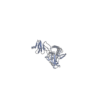7774_6cxc_F_v1-2
3.9A Cryo-EM structure of murine antibody bound at a novel epitope of respiratory syncytial virus fusion protein