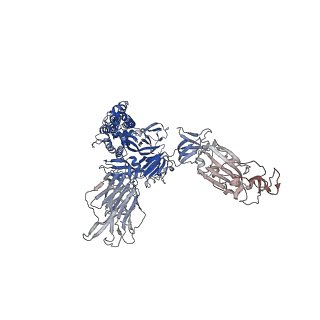 27068_8cy6_C_v1-1
SARS-CoV-2 Spike protein in complex with a pan-sarbecovirus nanobody 2-65