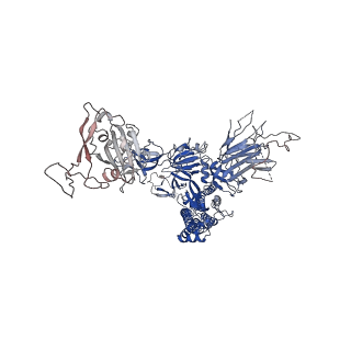27069_8cy7_A_v1-1
SARS-CoV-2 Spike protein in complex with a pan-sarbecovirus nanobody 2-34