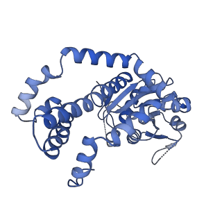 27070_8cy8_A_v1-0
apo form Cryo-EM structure of Campylobacter jejune ketol-acid reductoisommerase crosslinked by Glutaraldehyde