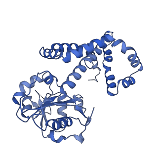 27070_8cy8_B_v1-0
apo form Cryo-EM structure of Campylobacter jejune ketol-acid reductoisommerase crosslinked by Glutaraldehyde
