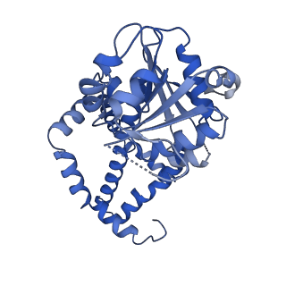 27070_8cy8_C_v1-0
apo form Cryo-EM structure of Campylobacter jejune ketol-acid reductoisommerase crosslinked by Glutaraldehyde