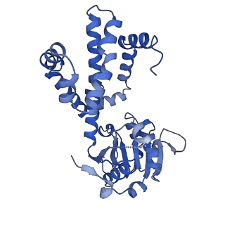 27070_8cy8_D_v1-0
apo form Cryo-EM structure of Campylobacter jejune ketol-acid reductoisommerase crosslinked by Glutaraldehyde