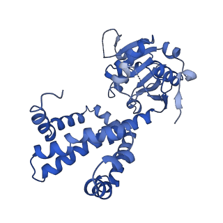 27070_8cy8_E_v1-0
apo form Cryo-EM structure of Campylobacter jejune ketol-acid reductoisommerase crosslinked by Glutaraldehyde