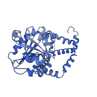 27070_8cy8_F_v1-0
apo form Cryo-EM structure of Campylobacter jejune ketol-acid reductoisommerase crosslinked by Glutaraldehyde