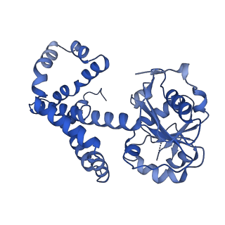 27070_8cy8_G_v1-0
apo form Cryo-EM structure of Campylobacter jejune ketol-acid reductoisommerase crosslinked by Glutaraldehyde