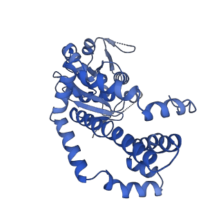27070_8cy8_H_v1-0
apo form Cryo-EM structure of Campylobacter jejune ketol-acid reductoisommerase crosslinked by Glutaraldehyde
