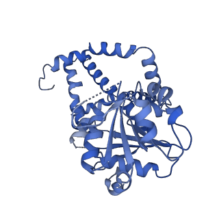 27070_8cy8_I_v1-0
apo form Cryo-EM structure of Campylobacter jejune ketol-acid reductoisommerase crosslinked by Glutaraldehyde