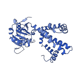 27070_8cy8_J_v1-0
apo form Cryo-EM structure of Campylobacter jejune ketol-acid reductoisommerase crosslinked by Glutaraldehyde