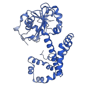 27070_8cy8_L_v1-0
apo form Cryo-EM structure of Campylobacter jejune ketol-acid reductoisommerase crosslinked by Glutaraldehyde