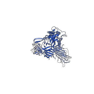 27072_8cya_A_v1-1
SARS-CoV-2 Spike protein in complex with a pan-sarbecovirus nanobody 2-67