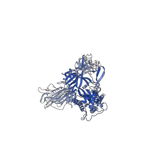 27072_8cya_C_v1-1
SARS-CoV-2 Spike protein in complex with a pan-sarbecovirus nanobody 2-67