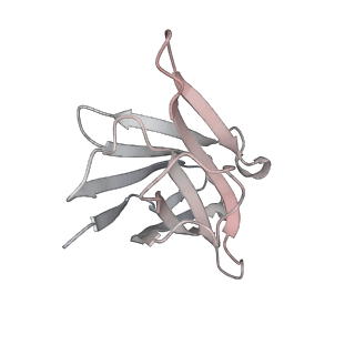 27072_8cya_D_v1-1
SARS-CoV-2 Spike protein in complex with a pan-sarbecovirus nanobody 2-67