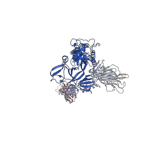 27073_8cyb_B_v1-1
SARS-CoV-2 Spike protein in complex with a pan-sarbecovirus nanobody 1-8