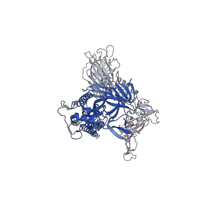 27073_8cyb_C_v1-1
SARS-CoV-2 Spike protein in complex with a pan-sarbecovirus nanobody 1-8