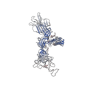 27074_8cyc_C_v1-1
SARS-CoV-2 Spike protein in complex with a pan-sarbecovirus nanobody 2-34