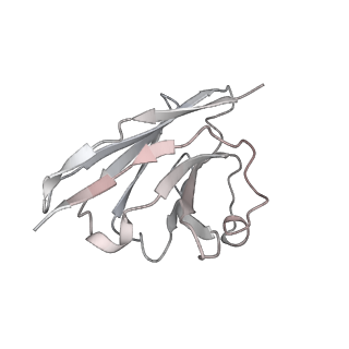 27074_8cyc_E_v1-1
SARS-CoV-2 Spike protein in complex with a pan-sarbecovirus nanobody 2-34