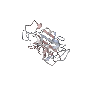27080_8cyj_R_v1-1
RBD of SARS-CoV-2 Spike protein in complex with pan-sarbecovirus nanobodies 2-10, 2-67, 2-62 and 1-25
