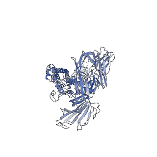 30496_7cyc_A_v1-1
Cryo-EM structures of Alphacoronavirus spike glycoprotein