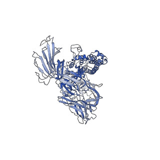 30496_7cyc_B_v1-1
Cryo-EM structures of Alphacoronavirus spike glycoprotein