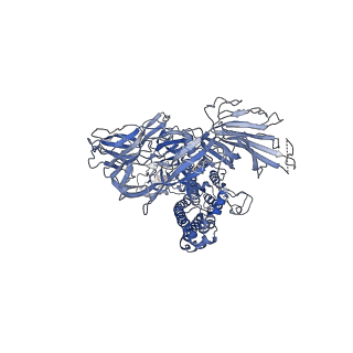30496_7cyc_C_v1-1
Cryo-EM structures of Alphacoronavirus spike glycoprotein