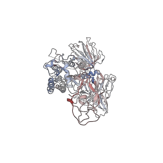 30497_7cyd_A_v1-1
Cryo-EM structures of Alphacoronavirus spike glycoprotein