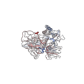 30497_7cyd_C_v1-1
Cryo-EM structures of Alphacoronavirus spike glycoprotein