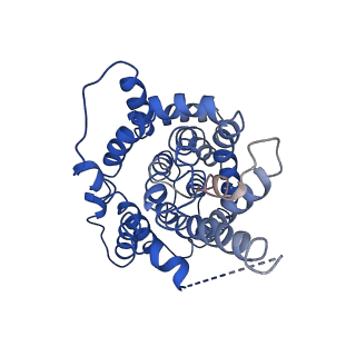 30498_7cye_A_v1-1
Cryo-EM structure of sodium-dependent bicarbonate transporter SbtA from Synechocystis sp. PCC 6803