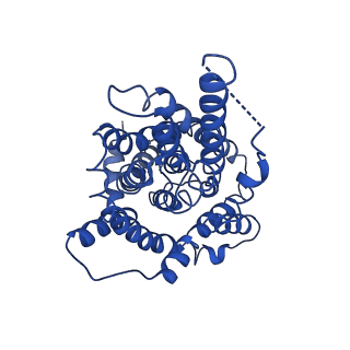 30499_7cyf_B_v1-1
Cryo-EM structure of bicarbonate transporter SbtA in complex with PII-like signaling protein SbtB from Synechocystis sp. PCC 6803