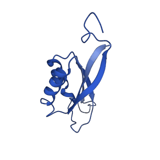 30499_7cyf_F_v1-1
Cryo-EM structure of bicarbonate transporter SbtA in complex with PII-like signaling protein SbtB from Synechocystis sp. PCC 6803