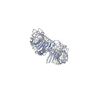 30501_7cyn_A_v1-2
Cryo-EM structure of human TLR7 in complex with UNC93B1