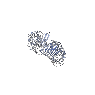 30501_7cyn_B_v1-2
Cryo-EM structure of human TLR7 in complex with UNC93B1